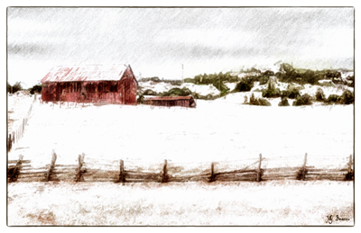 barns of sonoma holiday card