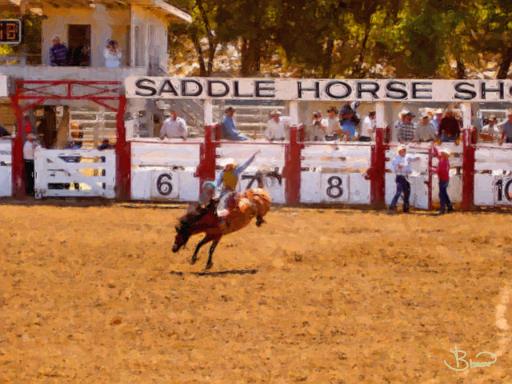 DSC01657-a4.jpg - Bronc Rider