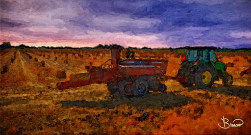 DSC24412-3-o-a2-web.jpg - Making Hay