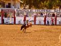 DSC01657-a4