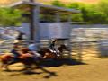DSC20137-a1
