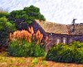 DSC25022-a1