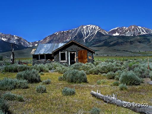 DSC01819.tif - Shack, Eastern Sierra