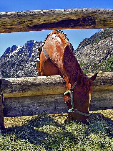 DSC01831.tif - Eastern Sierra