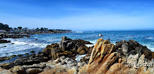 DSC21751-3-62.tif - Monterey Beach