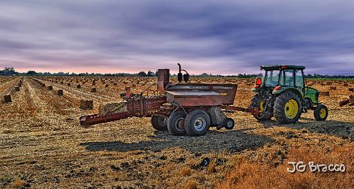 DSC24412-3-o.tif - Making Hay