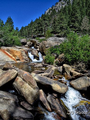 DSC24600-1-web.jpg - Carson River near source
