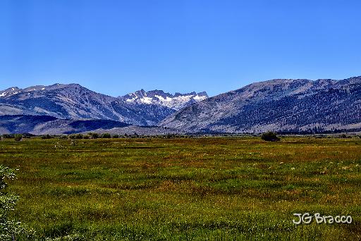 DSC24637.tif - Eastern Sierra Valley