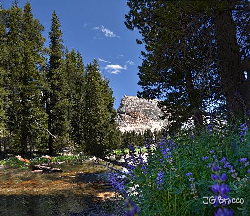 DSC24734-5-o.tif - Yosemite Stream