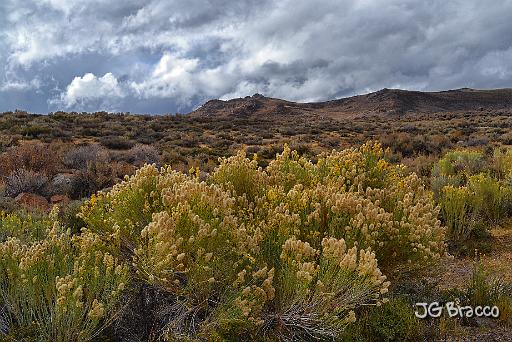 DSC25205.tif - High Desert