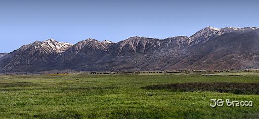 dsc17577-81-o.tif - Carson Valley