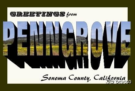 pcard_sonoma-17.jpg