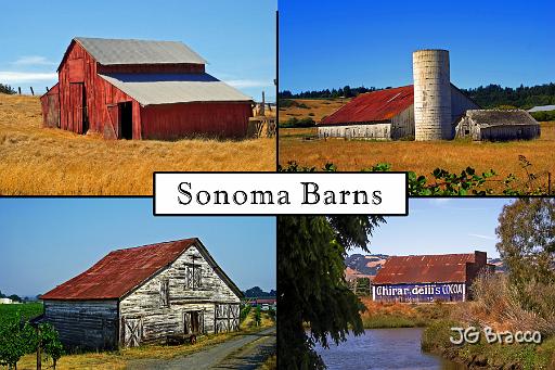 pcard_sonoma-22.jpg