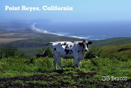 pcard_sonoma-24.jpg