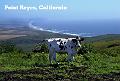 pcard_sonoma-24