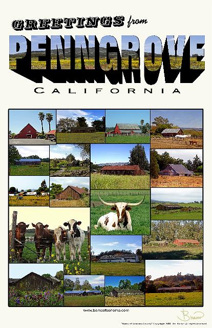 poster-penn_1-1117-v1.jpg - Penngrove Greetings