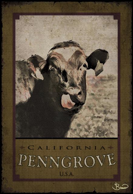 poster-penn_2808-b-1319-v1.jpg - Penngrove Poster