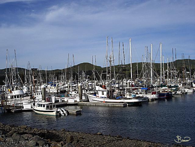 DSC00138.tif - Bodega Bay