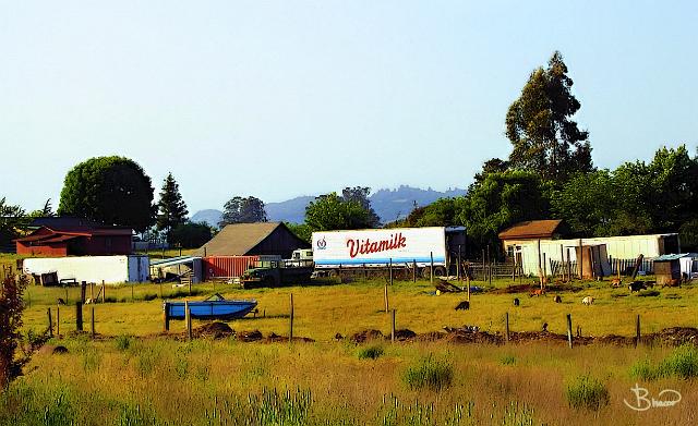 DSC02918.tif - Milk Truck Yard