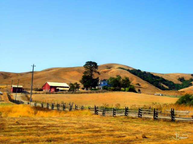 DSC03960.tif - West Sonoma Ranch