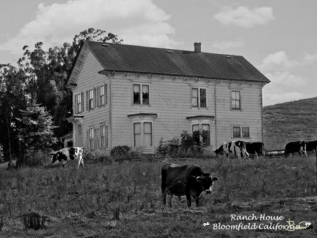 DSC04335.tif - Ranch House, Bloomfield
