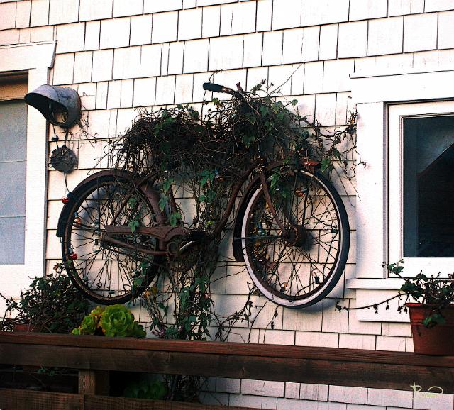 DSC07982-f1.tif - Hanging Bike