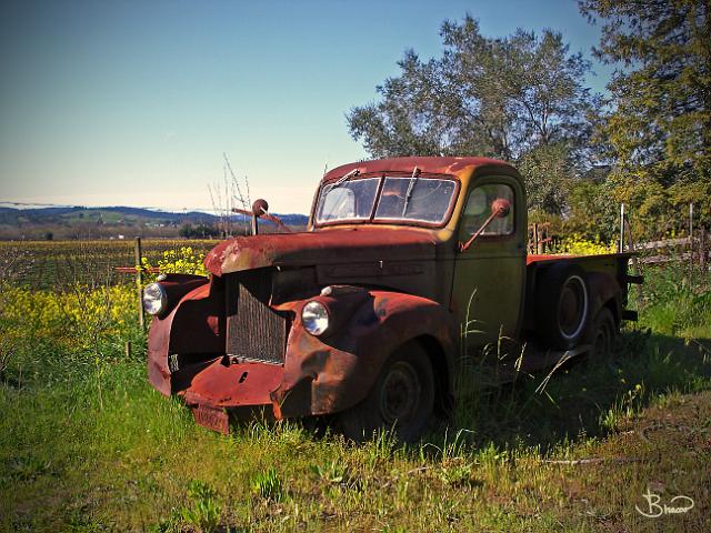 DSC09066.tif - Dry Creek