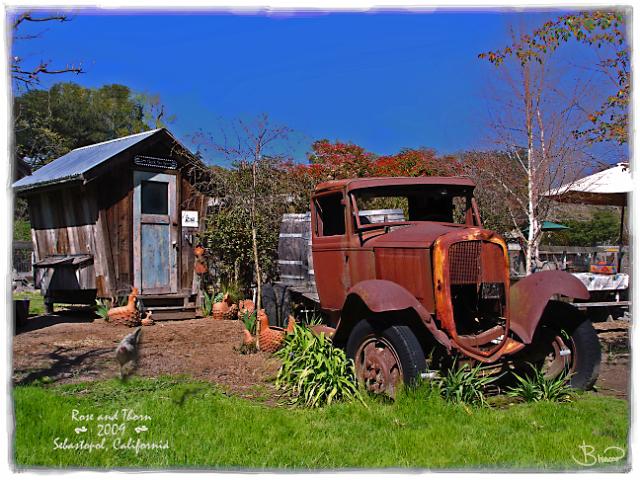 DSC09325.tif - Rose and Thorn