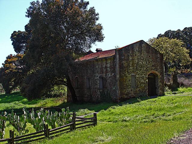 DSC09394.tif - Jack London Ranch, Glen Ellen