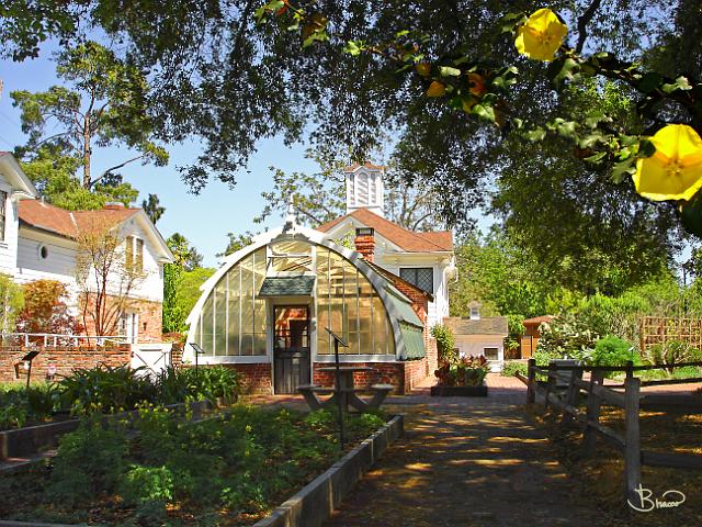 DSC09686.JPG - Luther Burbank Home and Gardens