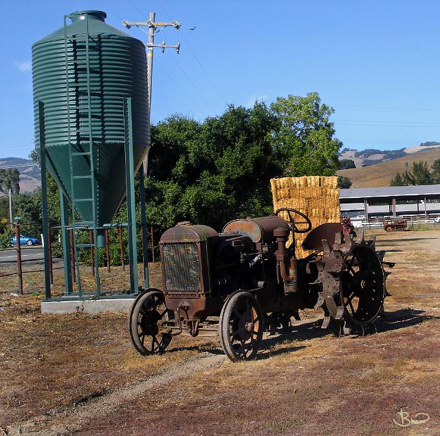 DSC11087.JPG - Pumpkin Farm, Petaluma