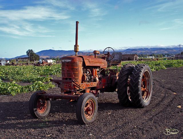 DSC11107.JPG - Farmall