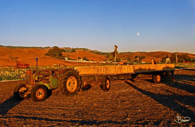 DSC11335-7-o.tif - Hay Ride!