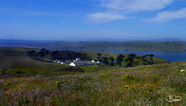 DSC14342-3-o-a1.tif - McGuire Ranch Point Reyes