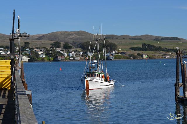 DSC21402.JPG - Crab Boat, Bodega Bay