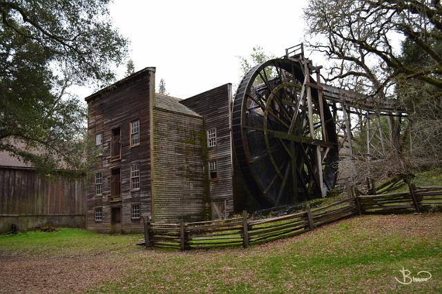 DSC21471.JPG - Mill (Napa)