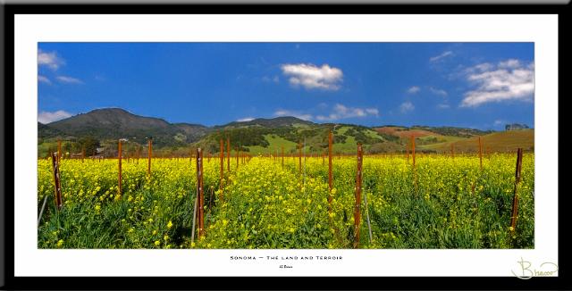 son-all-nomat-9474-2613-v6.jpg - Sonoma Valley