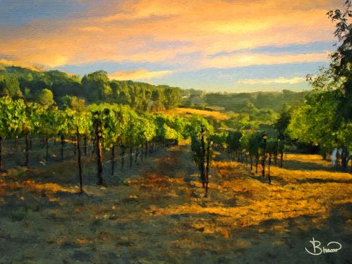 DSC03998-v3-c1-a1.tif - Vineyard at Twilight