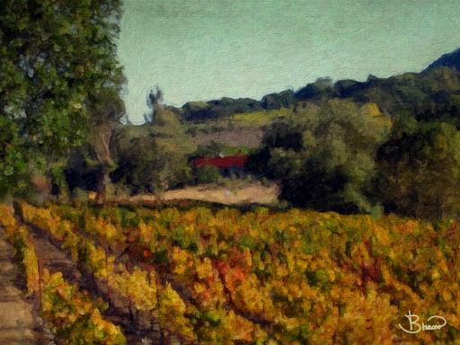 DSC04720-a3.tif - Vineyard Cottage