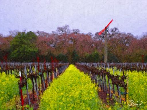 DSC09026-a2.tif - Carneros