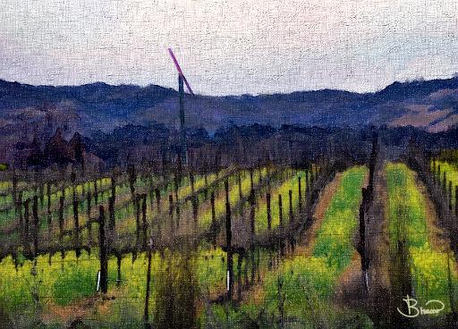 DSC09028-a1.tif - Winter Vineyard