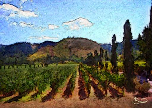 DSC15565-a1.tif - Dry Creek Vineyard and Hills II