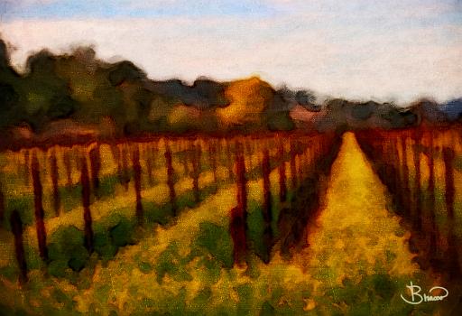 DSC21523-a1-19X13.tif - Winter Vineyard
