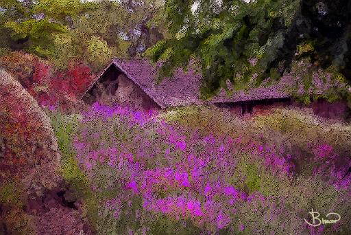 DSC24026-a1.tif - Lavender Patch