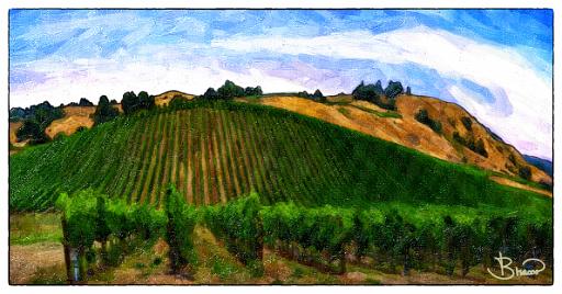 DSC24230-3-o-a1.tif - Hillside Vineyard