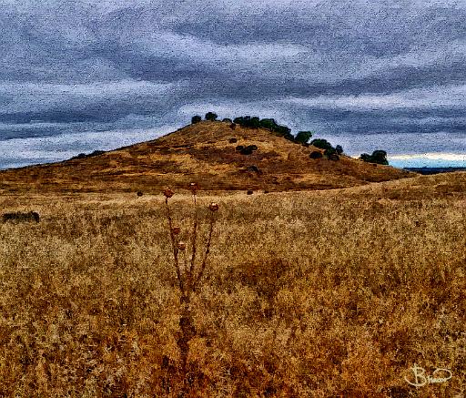 DSC24246-a1.tif - Sonoma Hill