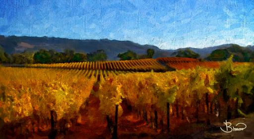 DSC25872-3-o-a1.tif - Mountain Vineyard in Fall
