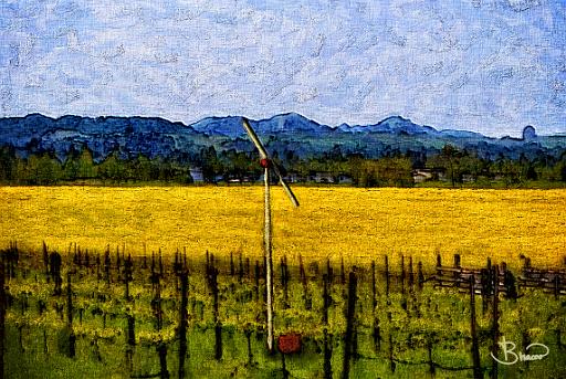 DSC26237-a1.tif - Mustard and Vines