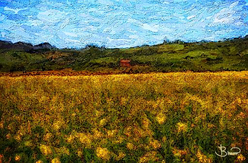 dsc26201-4-o-a1.tif - Hillside Barn and Mustard