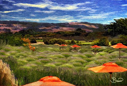 lavendarfield-a3-r1.jpg - Lavendar Field #2